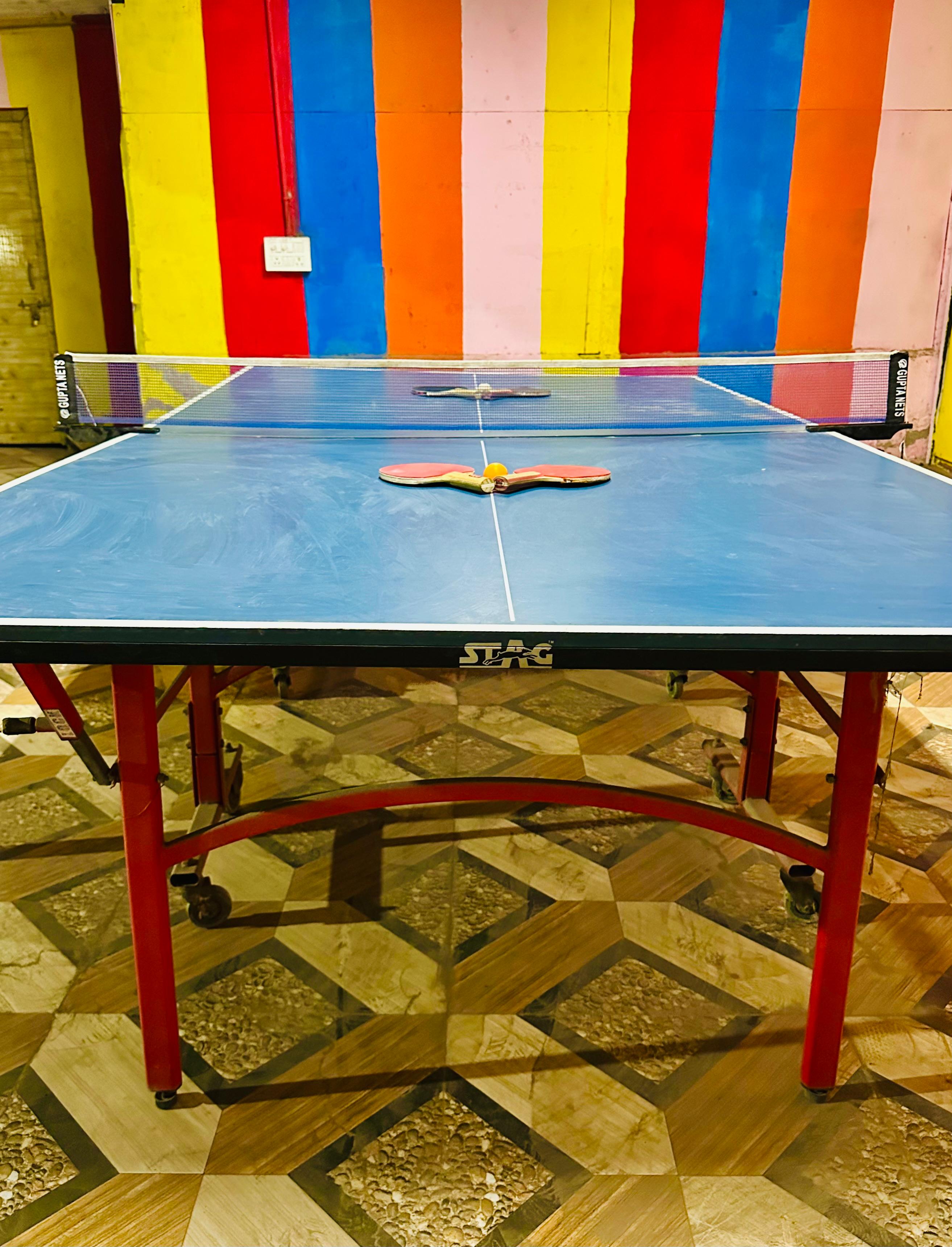 Table Tennis — image 1